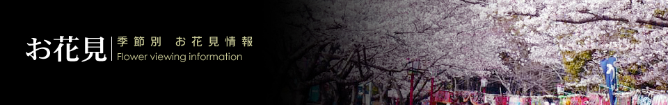 【お花見:季節別　お花見情報】