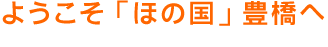 ようこそ、100年目の豊橋へ