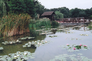 植物園ゾーン