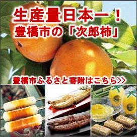 豊橋ええじゃないか通販 | ふるさと納税ページ