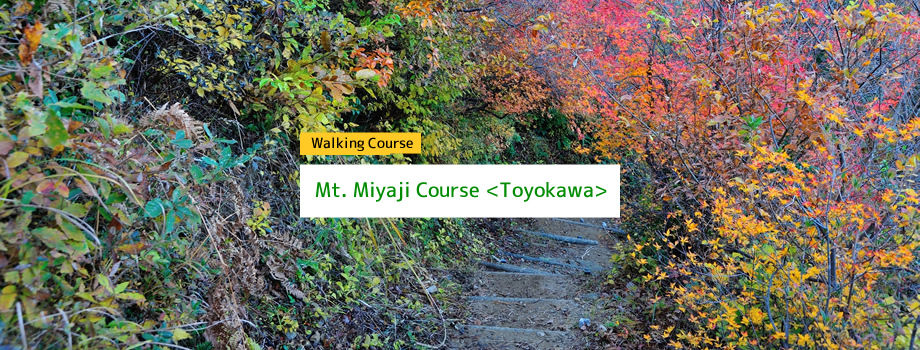 Mt. Miyaji Course 
