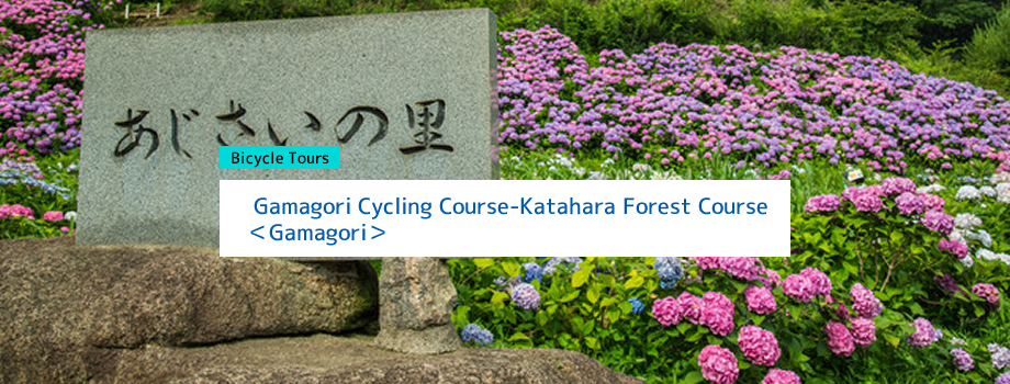 Gamagori Cycling Course｜Katahara Forest Course＜Gamagori＞