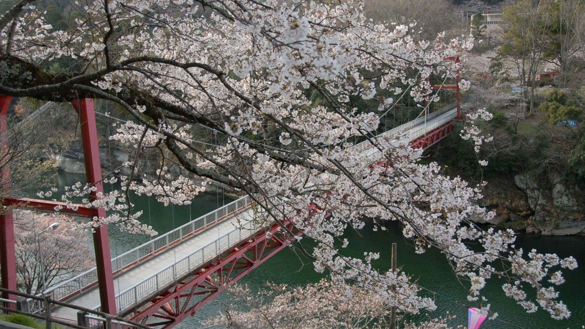 桜淵公園