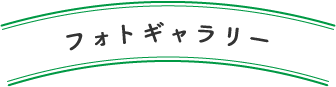 フォトギャラリー