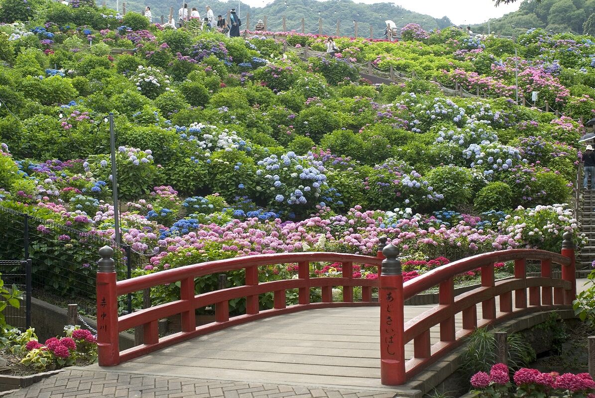 形原温泉　山のコース