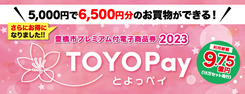 豊橋市プレミアム付電子商品券2023【TOYOPay｜とよっペイ】