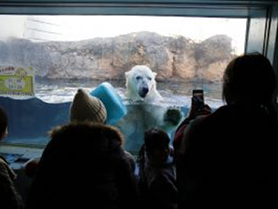 極地動物館