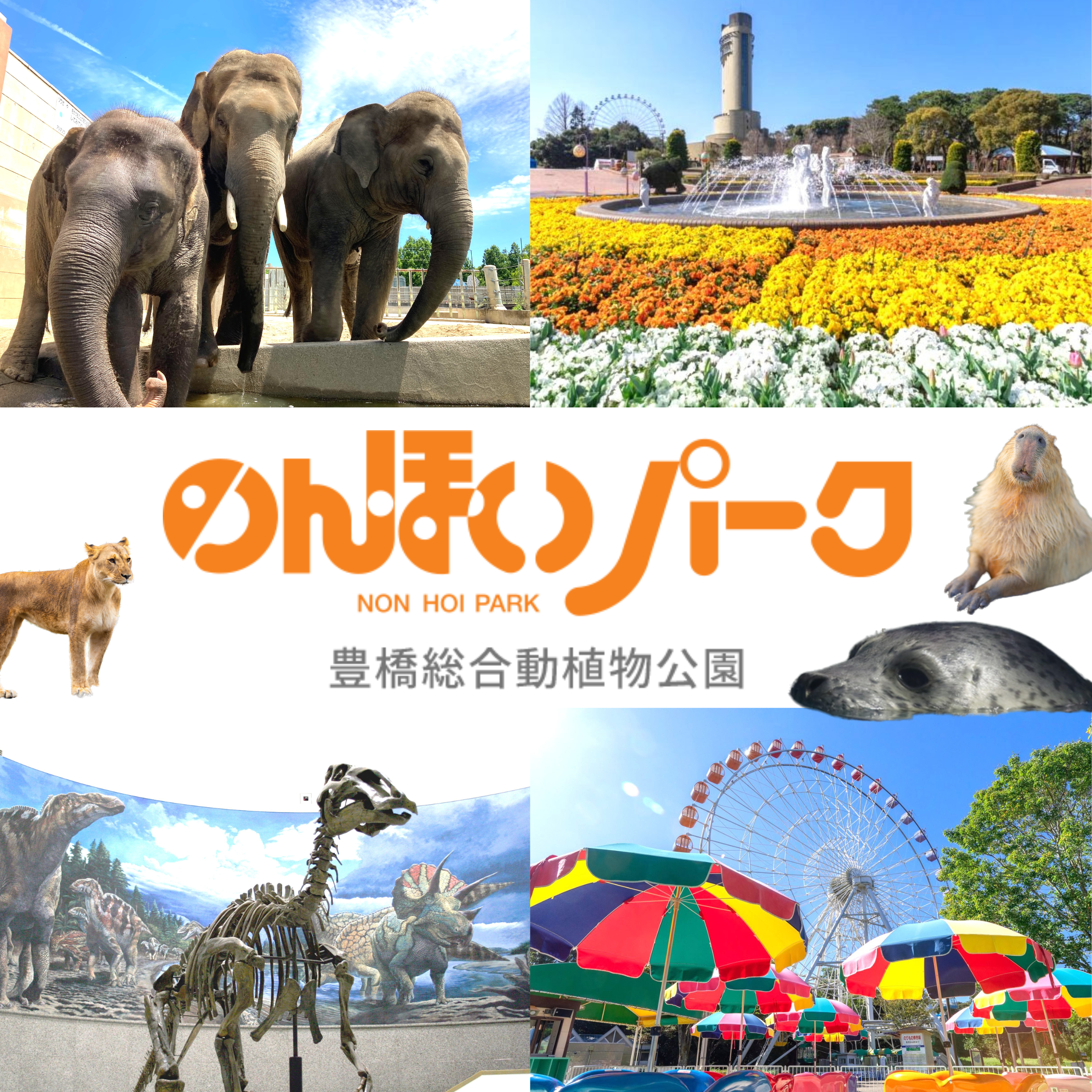 のんほいパーク