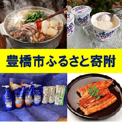 ふるさと納税＜豊橋市＞