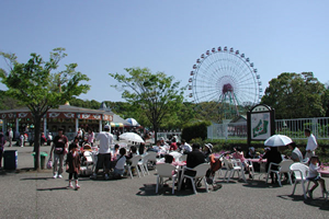 Amusement Park Zone