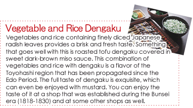 Vegetable and Rice Dengaku