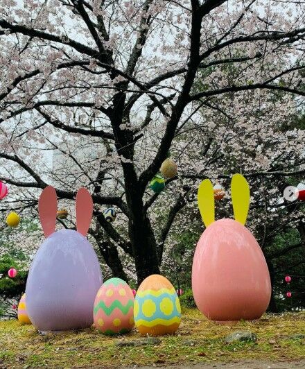 【とよはし春のモデルコース】 豊橋の春に、香りと幸せを