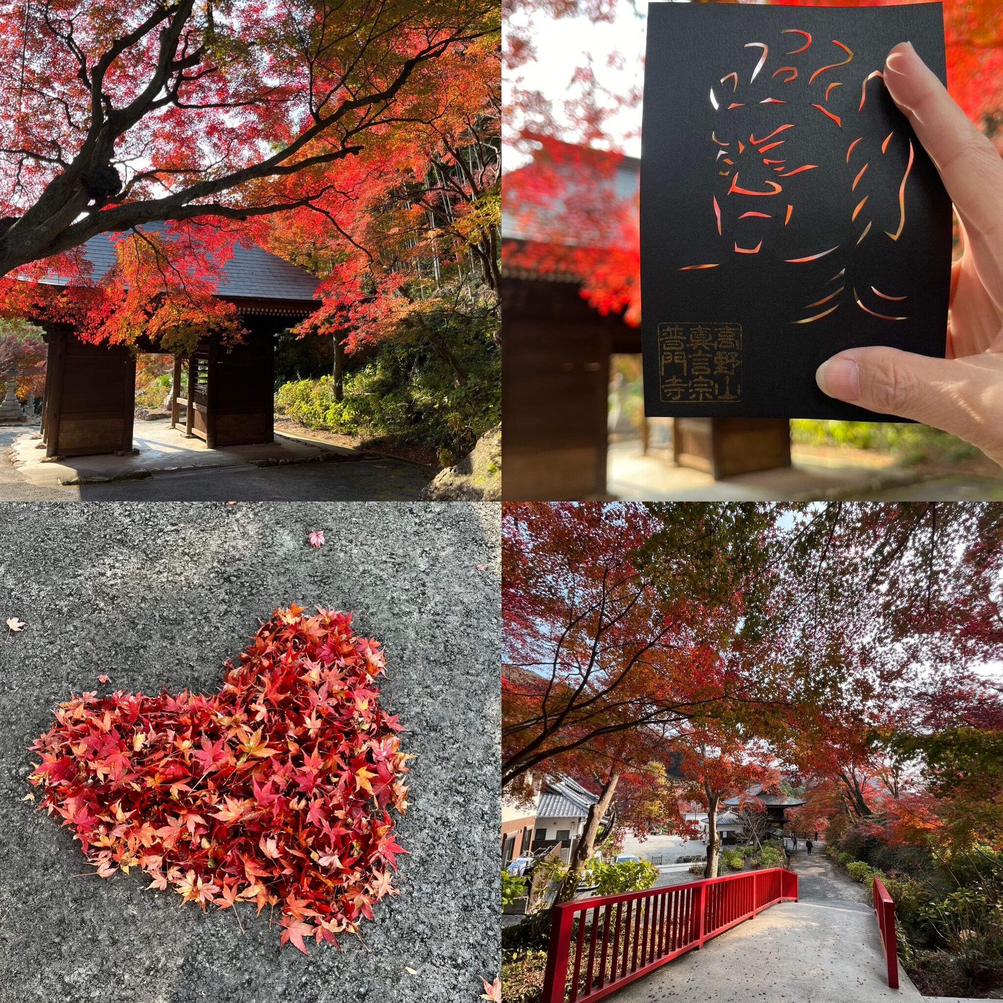 【とよはし秋のモデルコース】 葦毛湿原をあるく、普門寺をみる ※ドライブコースとなります