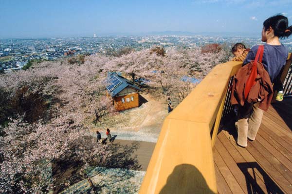 岩屋緑地公園_豊橋市