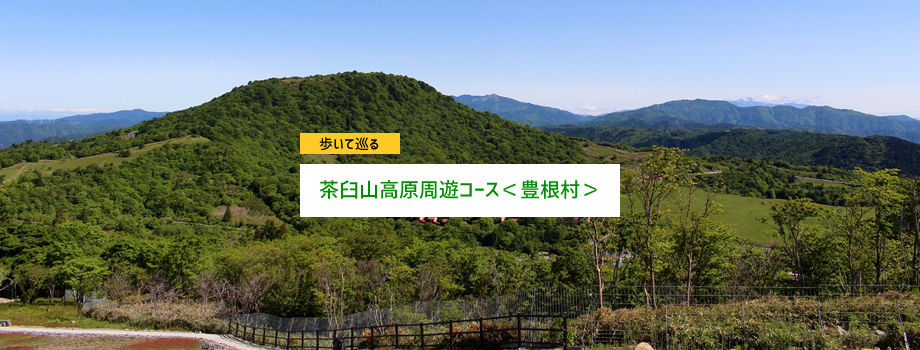 茶臼山高原周遊コース＜豊根村＞