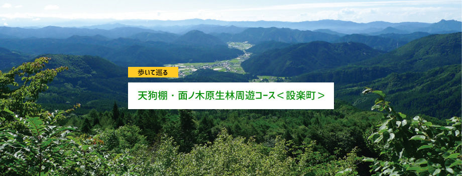 天狗棚・面ノ木原生林周遊コース＜設楽町＞