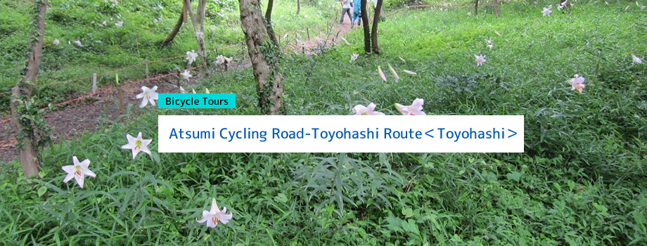 Atsumi Cycling Road｜Toyohashi Route＜Toyohashi＞