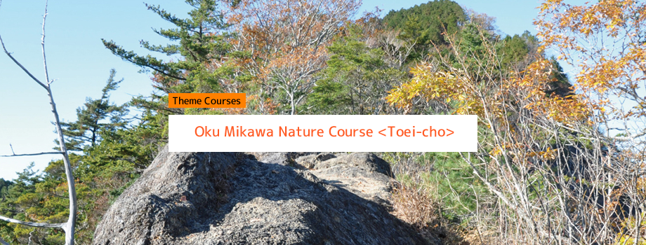 Oku Mikawa Nature Course 