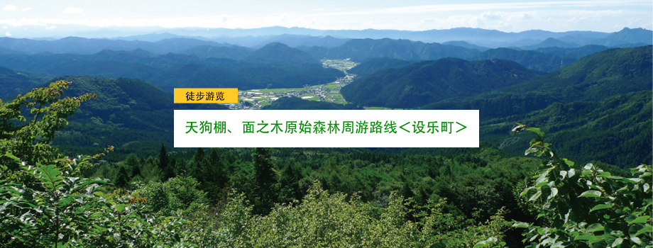 天狗棚、面之木原始森林周游路线＜设乐町＞