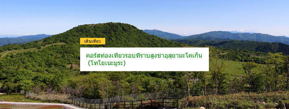 คอร์สท่องเที่ยวรอบที่ราบสูงชาอุสุยามะโคเก็น (โทโยเนะมูระ)