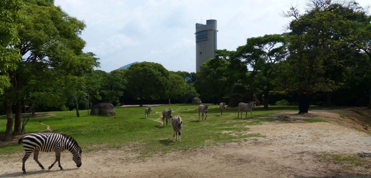 สวนสัตว์และพฤกษศาสตร์ทั่วไปของโทโยฮาชิ “นนโฮอิปาร์ค”
