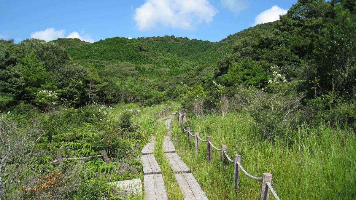 葦毛湿原