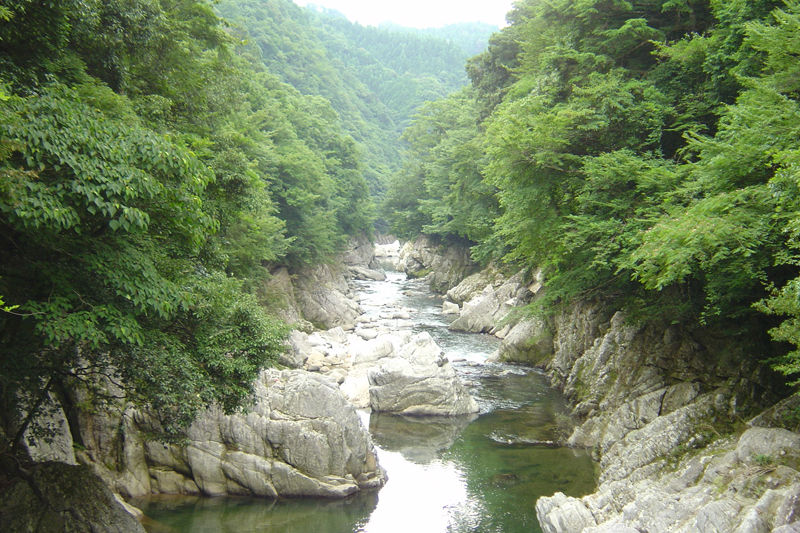 新緑の振草渓谷（預り渕）