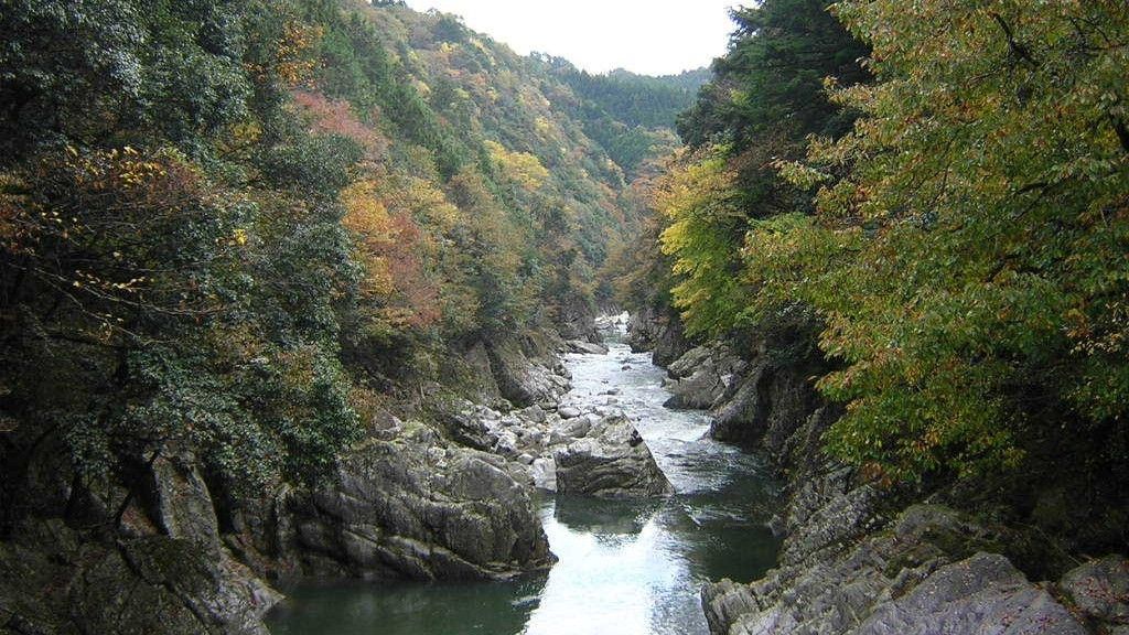 紅葉の振草渓谷（預り渕）